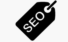 快速稳固地提高新网站的搜查排名需求业余seo公司帮助