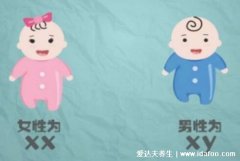 生男生女预测表2022年清宫表图片，虚岁是实际年龄加1岁