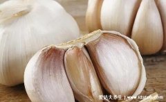 幽门螺杆菌最怕的食物，每天吃一点抑菌护胃黏膜(5种食物)