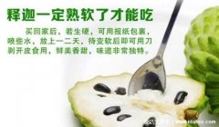 番荔枝的禁忌与功效，哪些人不能吃番荔枝(3大功效5大禁忌)