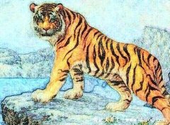 本命年虎年要注意什么佩戴什么转运，可佩戴红绳/转运珠(宜穿红)