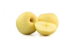 黄金维纳斯苹果是脆的还是面的