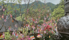 法喜寺求姻缘灵验吗多少钱
