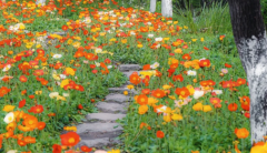 2023花朝节是哪一天星期几