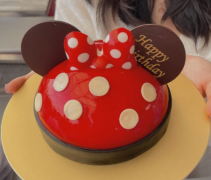 迪士尼生日蛋糕可以带走吗