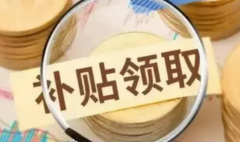 粮食补贴发放到户主名字上吗