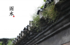 2023雨水出生的人命运好不好
