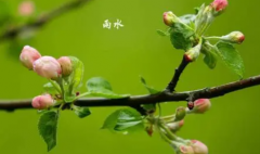 2023节气雨水可以祈福吗