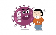 感染诺如病毒需要隔离吗