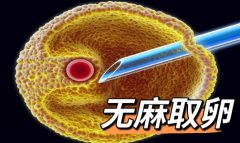做试管取了9个卵成功率大吗