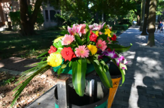 垃圾桶的花为什么浪漫