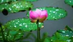 2023苏州梅雨季节是哪几个月