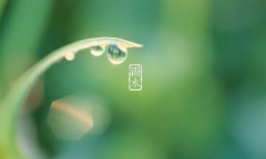 2023雨水节气可以同房吗