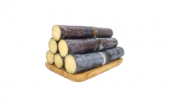 一天吃一根甘蔗算多吗