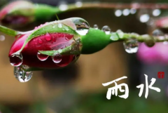 2023年2月19日雨水是几九