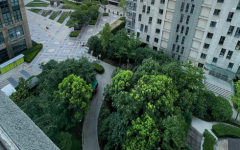2023为什么都在提前还房贷