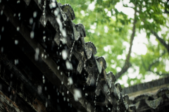 2023年春天是雨多还是雨少