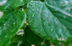 湖南下雨为什么要下到五月2023