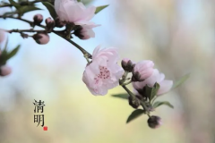 <b>新坟清明节上坟要提前一天吗</b>