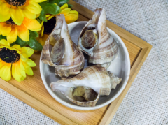 蒸海螺隔夜能吃吗
