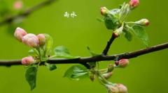 2023雨水节气还冷吗