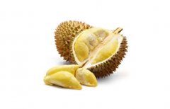 冻榴莲怎么打开外壳没裂缝