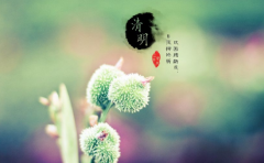 2023年清明节是几月几号星期几