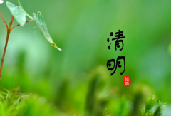 2023年清明节是4号还是5号