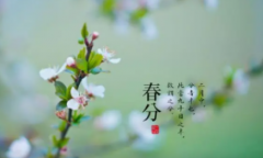 2023年的春分是几月几日星期几