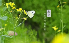 2023四川春分还冷吗