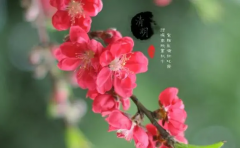 2023年清明节要过路费吗