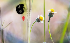 2023清明节高速免费几天