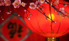2024年是不是无春年
