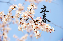 2023年属鸡躲春不能见什么属相