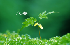 2023年不躲春会怎么样