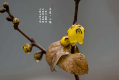 躲春是不是躲过立春时辰就可以了