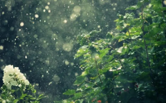 今年闰二月雨水多吗2023