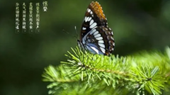 2023惊蛰打小人几点钟合适