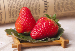 草莓放冰箱还是常温保存